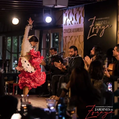 Granada: espectáculo flamenco Albaicín - Jardines de Zoraya